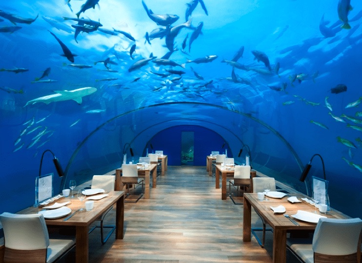 Conrad Maldives Rangali Island 雖然基本房型不是水上屋,但是飯店的豪華程度仍然受到點數玩家的喜好。(圖片取自官網)