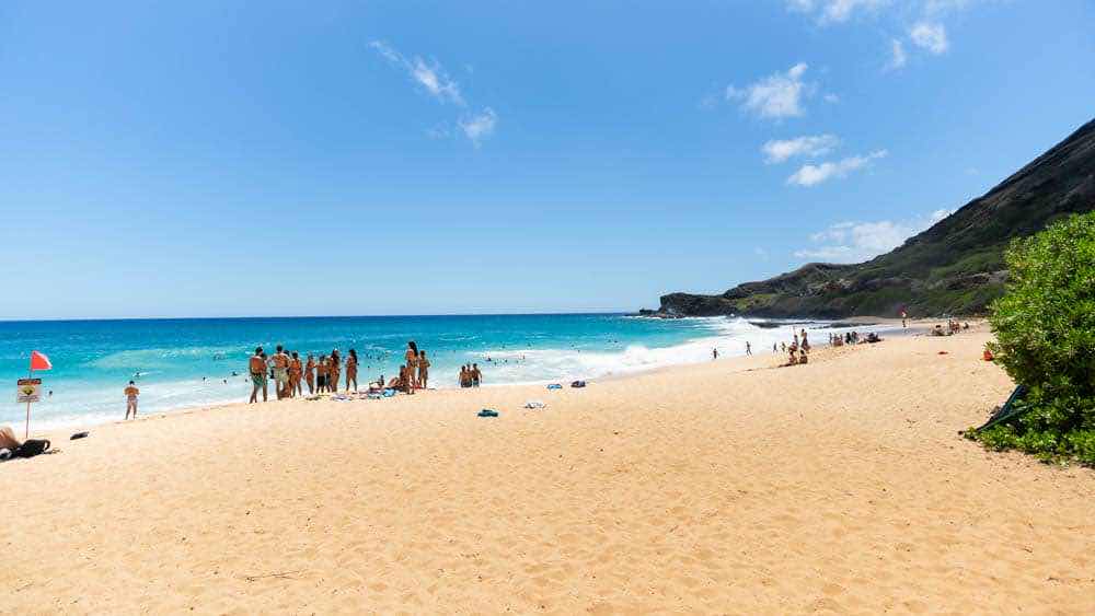 從 Waikiki 開車 15 分鐘，遠離人群的Sandy Beach（研究生的點數旅行筆記）